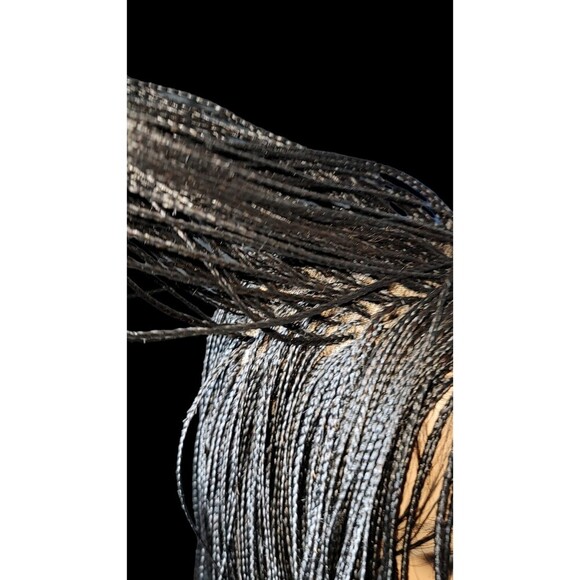 Jet Black Micro Million Braids Full Lace Wig NWT LONG - Picture 10 of 16
